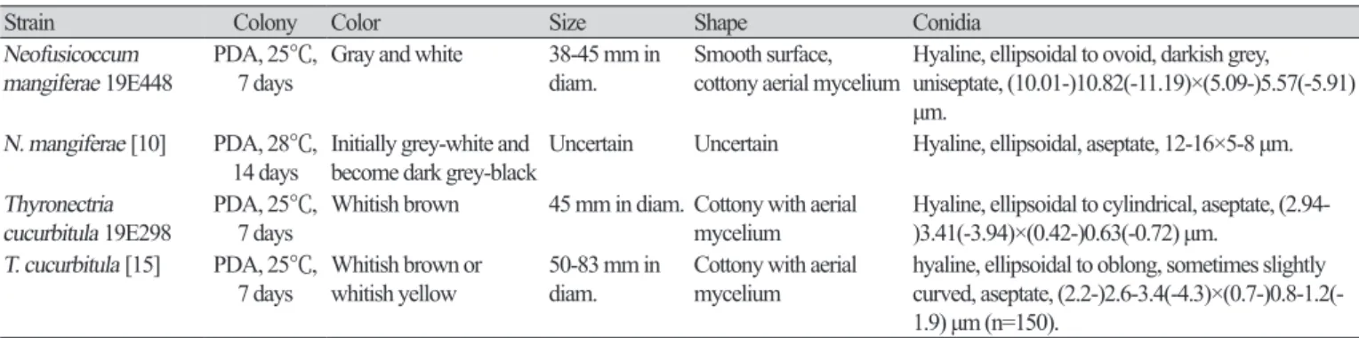 Table 1. Morphological characteristics of fungal strains isolated in this study.