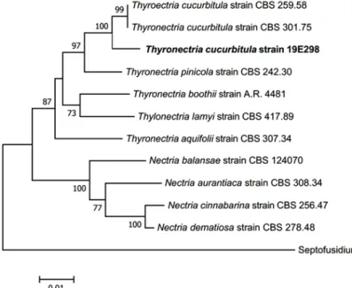 Fig. 3. Neighbor-joining phylogenetic tree of Thyronectria cucurbitula based on a combined dataset  of three regions, internal transcribed spacer (ITS), large subunit of rDNA (LSU), and β-tubulin (TUB) 