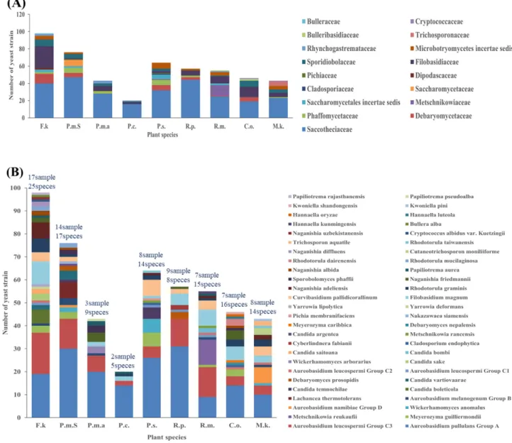 Fig. 3. Distribution of yeasts isolated from various flowers collected in Korea. (A) Classification of yeasts at family-level