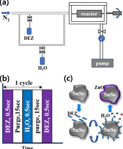 Fig. 1. (a) schematics of rotary-type ALD, (b) ZnO ALD pulse sequence, (d) schematics of powders coated by ALD process.