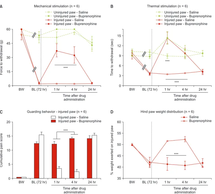Fig. 5.  The effect of a single dose of buprenorphine (solid) or saline (open) on responses to von Frey (A) and thermal stimulation (B) in the injured (red)  and uninjured (green) paws (C) guarding behavior for the injured paw and (D) percentage of body we