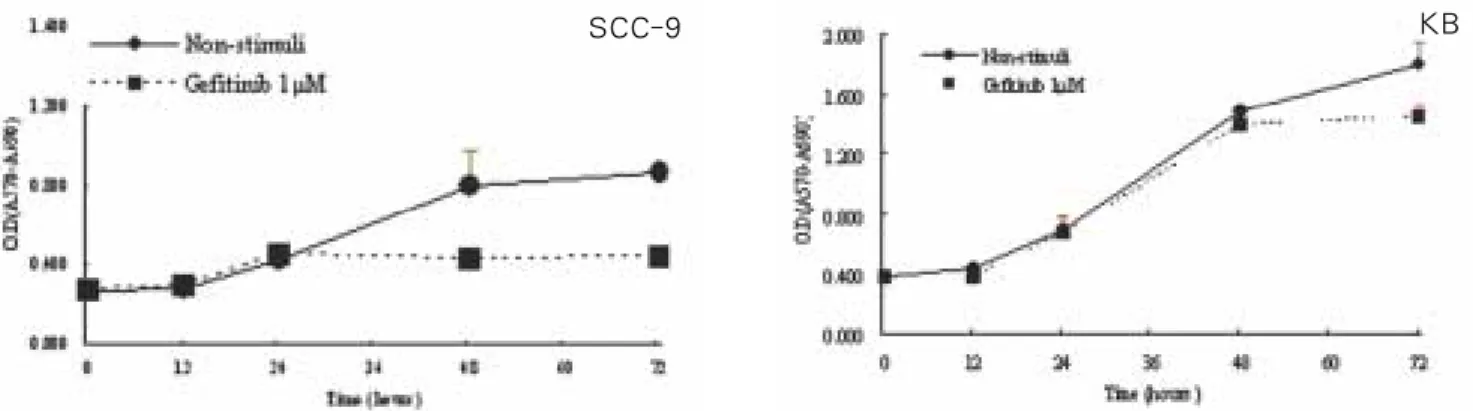 Fig. 2. In  1  μM  gefitinib,  growth  inhibition  curve  in  cell  lines.  SCC-9  cells  were  examined  significant  growth  inhibition  time- time-dependently, while KB cells showed no significant antiproliferative activity of gefitinib (p&lt;0.05).