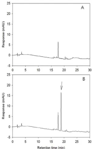 Fig. 3. Typical chromatogram of metamifop residue analysis from paddy water. (A); untreated sample, (B); fortified at 0.5 mg/L.