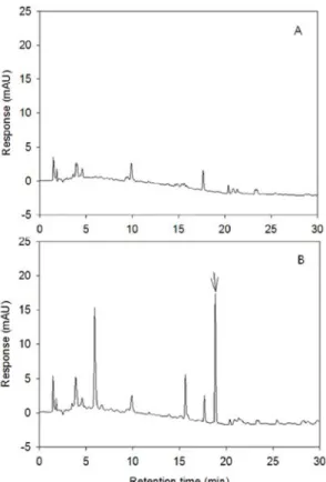 Fig. 5 Typical chromatogram of metamifop residue analysis from rice. (A); untreated sample, (B); fortified at 0.5 mg/kg.