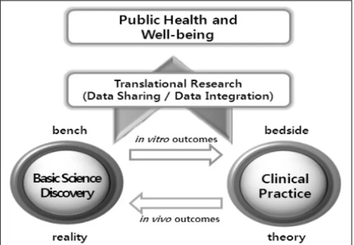 Fig. 1. Scheme of Translational Research (TR).