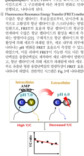 Fig. 3. FRET-based activity assay of antimicrobial peptides [22].