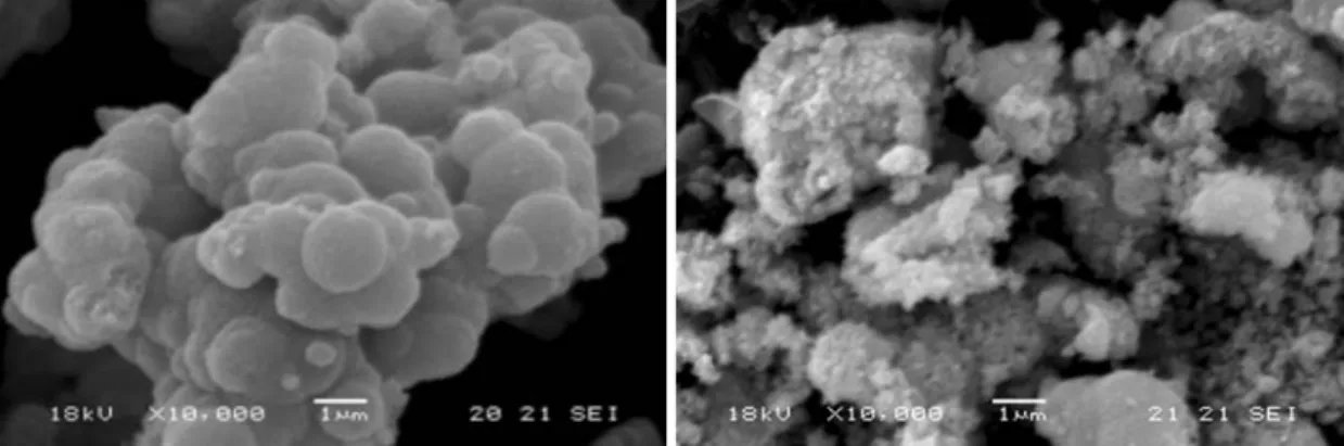 Fig. 9. SEM images of powder type V 2 O 5 /TiO 2 catalyst.