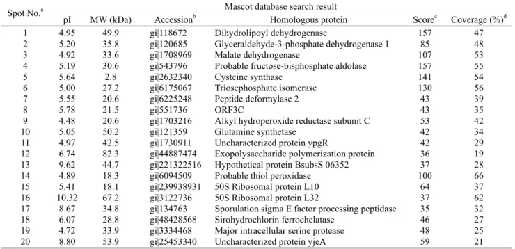 Table 1. Potential identity of protein spots from B. subtilis MORI and MORI 3K-85 by comparison with the B
