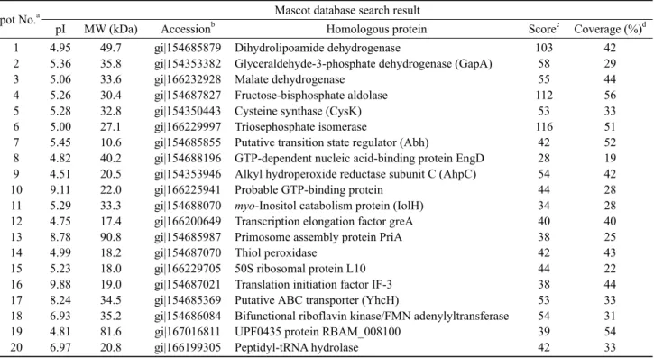 Fig. 1. Native- and SDS-PAGE analyses of proteins isolated from  B. subtilis strains MORI and MORI 3K-85