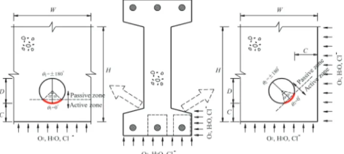 Fig. 1 Model for chloride infiltration into reinforced concrete  section(Chen, 2019)
