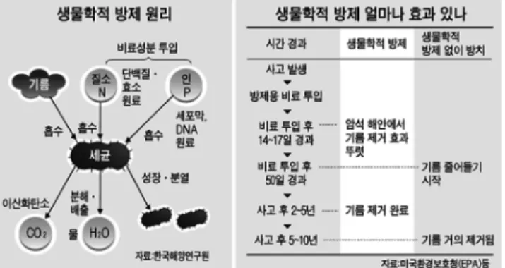 Fig. 2. Biological control principle using microbial oil degradation  with an example of the Exxon Valdez accident (Joongang Ilbo).