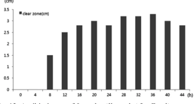Fig. 12. Antibiotic test of Lactobacillus sakei for E.coli.