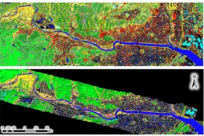 FIGURE 5. Land cover classification results using hyperspectral  image : 2016  (top),  2019 (bottom)