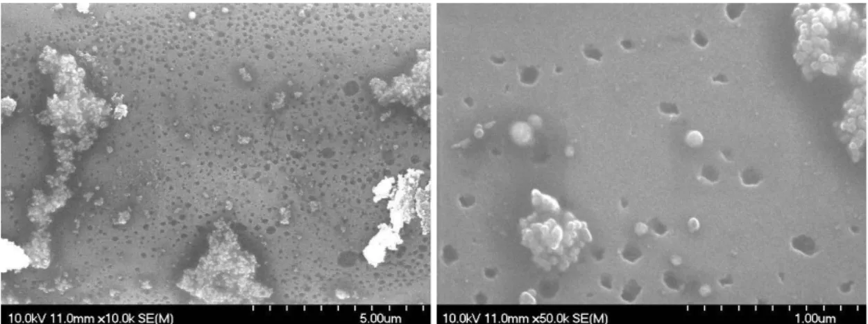 Fig. 4. SEM picture on sample 2.