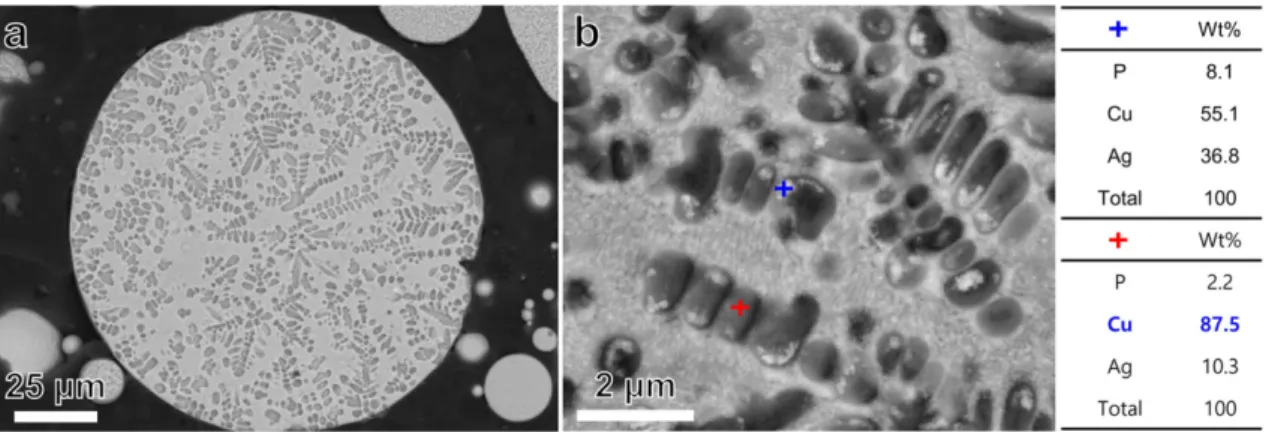 Fig.  3.  Mac rosc opic   top  view  of  plasma  sprayed  BCuP-5 coating layer on Ag plate.