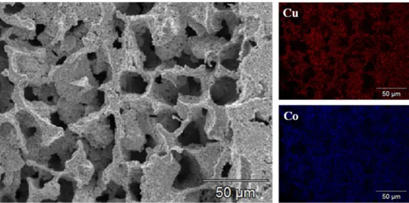 Fig. 7. SEM micrographs for the porous Cu-Co, sintered at 800 o C for 1 h using CuO-Co 3 O 4  contents of (a) 5 vol% and (b) 10 vol%.