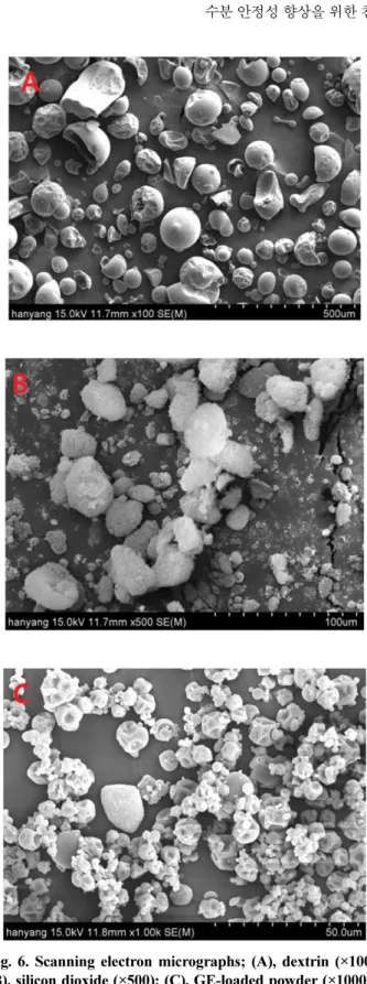 Fig. 6. Scanning electron micrographs; (A), dextrin (×100);