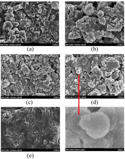 Fig. 4. Microstructures and morphologies of the specimens with different hydroxyapatite (HAp)