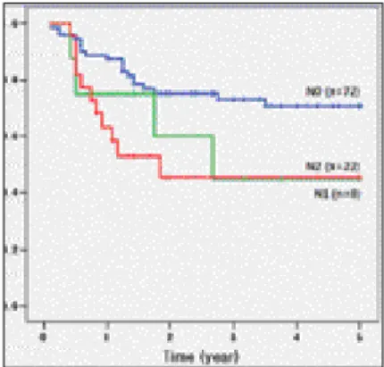 Fig. 1. Kaplan-Meier survival curve by N-classification.