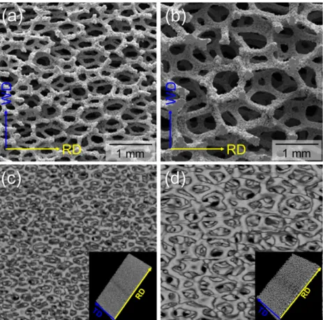 Fig. 2. (a) Typical surface morphology and (b) microstructure of struts in the Fe-Cr-Al foam