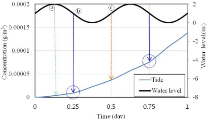 Fig. 13. Comparison of time history of contaminant concentration  between steady and transient flow during initial 1 day  at Node A (case of maximal tidal range of 8 m)