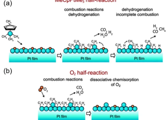 Fig. 3. Schematic representation of the surface reaction mechanism of Pt ALD at (a) Pt precursor pulse and (b) O 2  pulse steps.