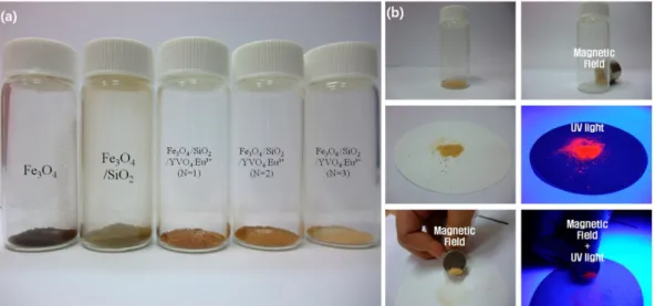 Fig. 8. (a) Photograph of obtained nanoparticles compare the appearance of various conditions of the nanoparticles