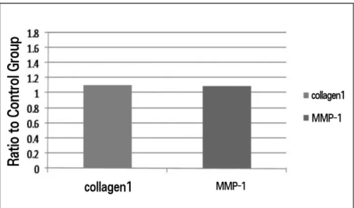 Fig. 8. Expression of collagen I and MMP-1 genes in articular disc of the experimental group compared with the control group