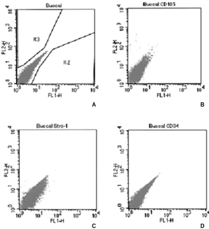 Fig. 1. FACs result of marker expression in buccal fat pad derived cells(BFDC). Immune phenotype  of  BFDC  were  labeled  with  antibodies  against  the  indicated  antigens