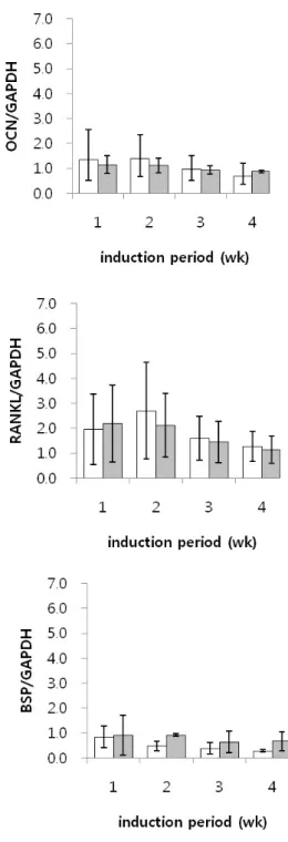Fig. 4. mRNA expression of ALP, OCN, RUNX2, COL-Ⅰ, RANKL, and BSP after MSCs were cultured for 1, 2, 3, and 4 weeks in osteogenic medium (data were expressed as mean ± SD; white bar = β-TCP(-) and dark bar = β-TCP(+)
