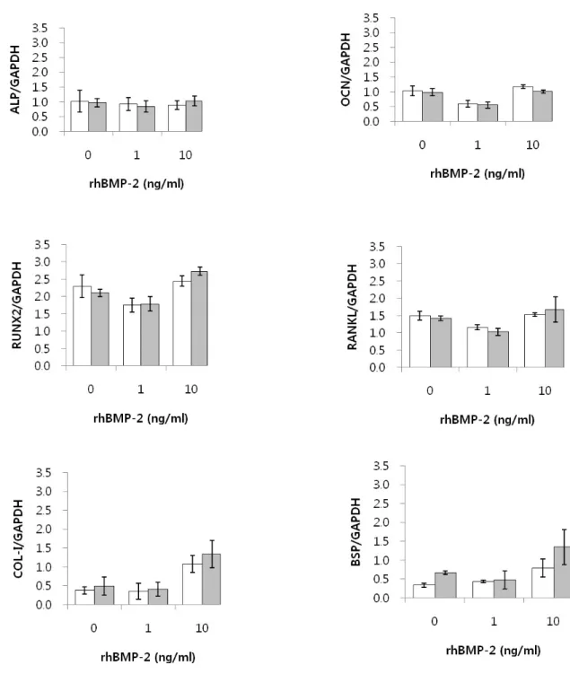 Fig. 5. mRNA expression of ALP, OCN, RUNX2, COL-Ⅰ, RANKL, and BSP after MSCs were cultured for 4 weeks in osteogenic medium with different concentrations of rhBMP-2