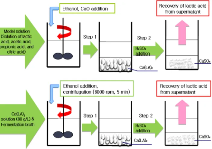 Fig. 1. Schematic diagram of precipitation process for recovery  of lactic acid.