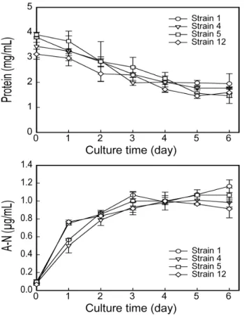 Fig. 4. Changes of protein and amino-nitrogen (A-N) content  during fermentation of soybean by isolated strains (strain 1, 4, 5  and 12) from Chungkukjang