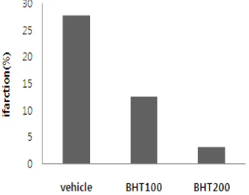 Fig.  2.  The  effect  of  BHT  extract  on  the  infarct  volume  in  rats  administered  evry  24  h  after  onset(144  h)