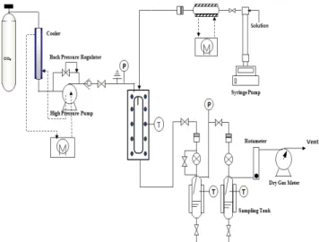 Fig. 1. Schematic diagram of the supercritical ASES apparatus used  in this study.
