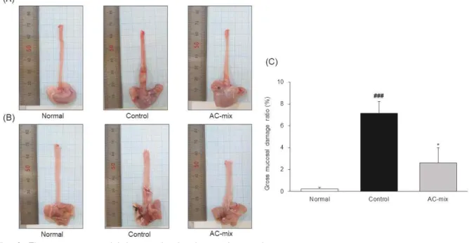 Fig. 2. The gross mucosal injury evaluation in esophagus tissue.