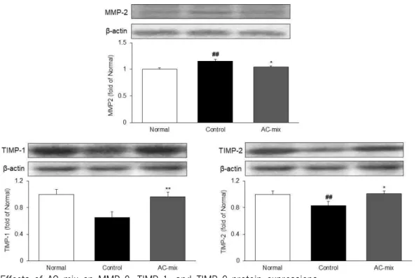 Fig. 6. Effects of AC-mix on MMP-2, TIMP-1, and TIMP-2 protein expressions.
