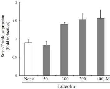 Fig. 1. The effects of luteolin on Smac/DIABLO expression in  HepG2 hepatocarcinoma cells