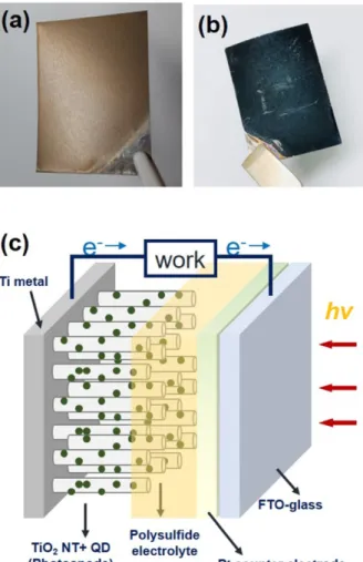 Fig. 1. Photographs of (a) as-prepared and (b) QD-sensitized TiO 2  NT electrodes. (c) Schematic device structure of QDSC employing a TiO 2  NT electrode.