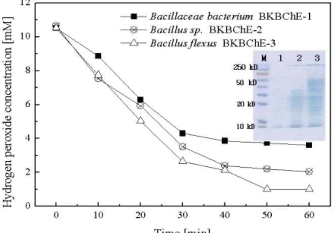 Fig. 1. Decomposition rate of hydrogen peroxide by isolated whole cells.