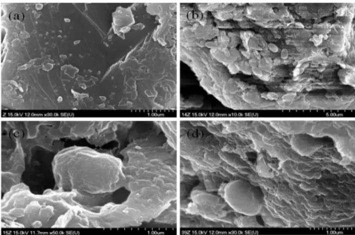 Fig. 2. Image of field emission scanning electron microscopy. (a)  Korean natural zeolite (b) Bacillaceae bacterium BKBChE-1  (c) Bacillus sp