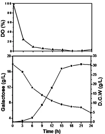 Fig. 5. Time profiles of D.C.W (■) and residual galactose  concentration (□) during repeated-batch fermentation using  the optimized medium at 42℃, 300 rpm, pH 8.0 and 2 vvm.