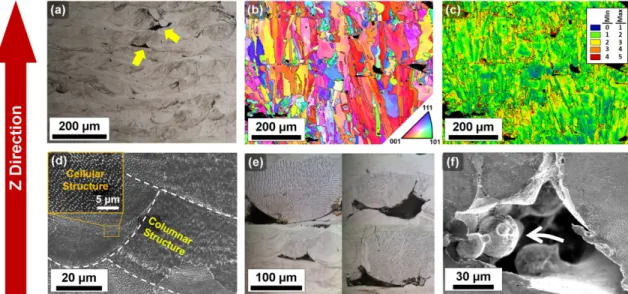 Fig. 3. The microstructure (Y plane) of the SLM produced 316L stainless steel: (a) OM image, (b) EBSD IPF map, (c) EBSD KAM map, (d) high magnified SEM images indicating solidified sub-structures, (e) representative OM image for inter-layer pores, and (f) 