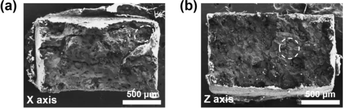 Fig. 7. Local strain distribution maps of the tensile samples extracted by DIC methods for (a) X and (b) Z axis loading conditions, respectively.