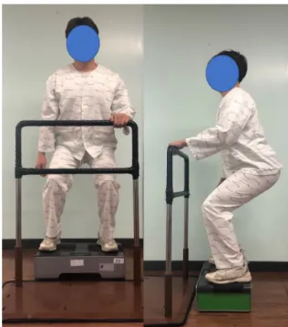 Figure 3. Whole body vibration exercise 분석방법