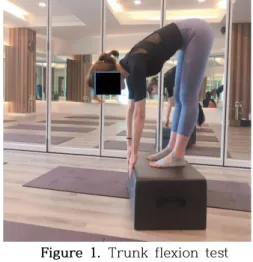 Figure 1. Trunk flexion test