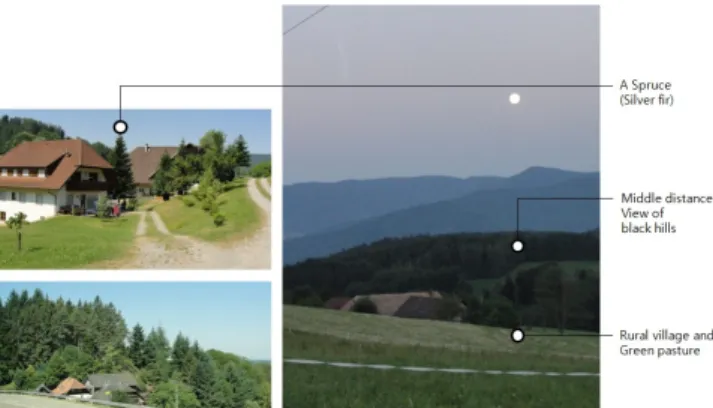 Fig. 1 Main trees and distance views of Black Forest