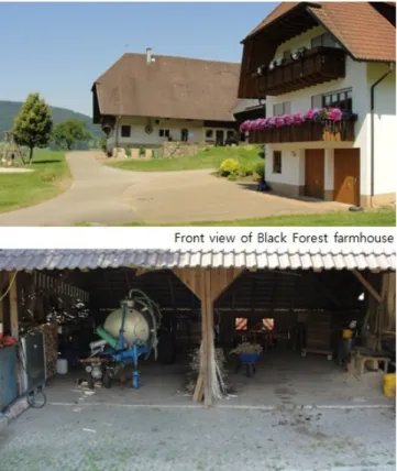 Fig. 7 Schematic longitudinal section through a Black Forest farmhouse and modern Biederbach house 16)
