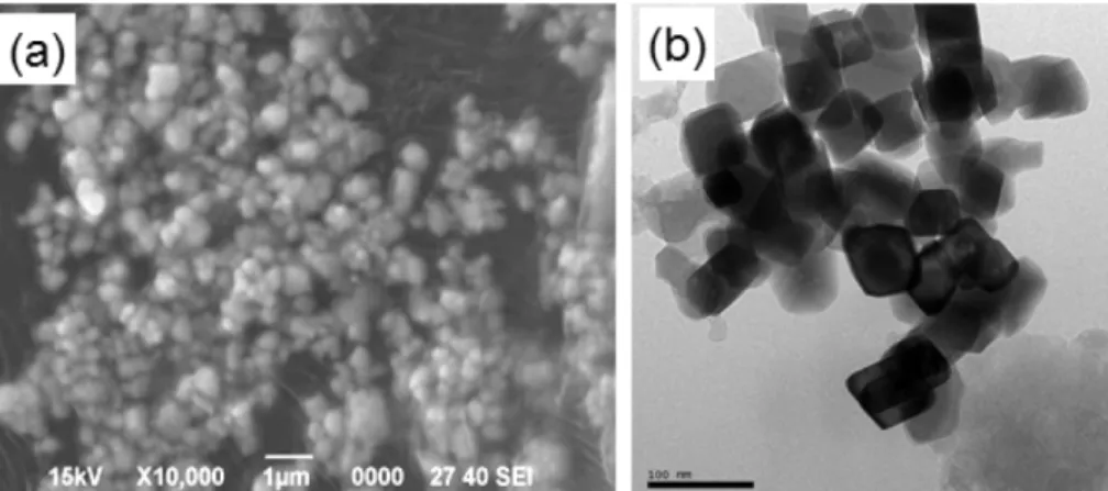 Fig. 3. Change in (a) shrinkage and (b) shrinkage rate of AlN with 5 wt% MCAS nanocomposite glass prepared by polymerized complex method.