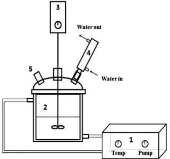 Fig. 1. Schematic of batch reactor: 1. water bath with pump, 2. 
